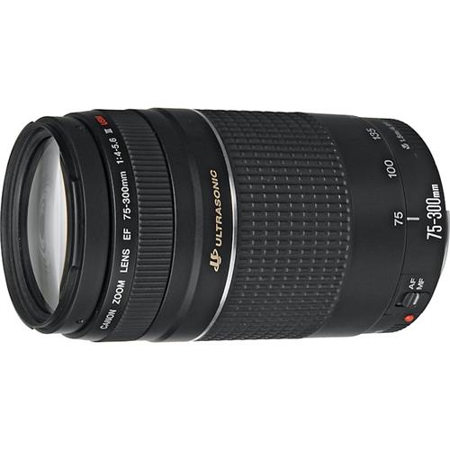 Canon Ef 75-300 Mm F/4-5.6 Iii