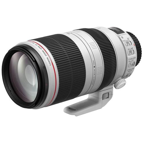 Canon Ef100-400Mm F4.5-5.6 L Is Ii Usm