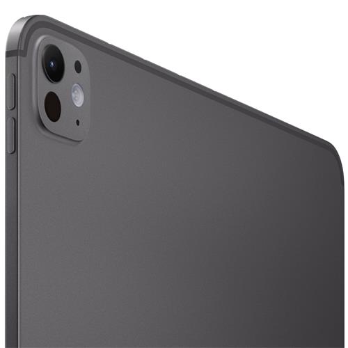 Apple Ipad Pro 11" M4 Wifi + Cellular 256GB Space Black (MVW13TY/A)