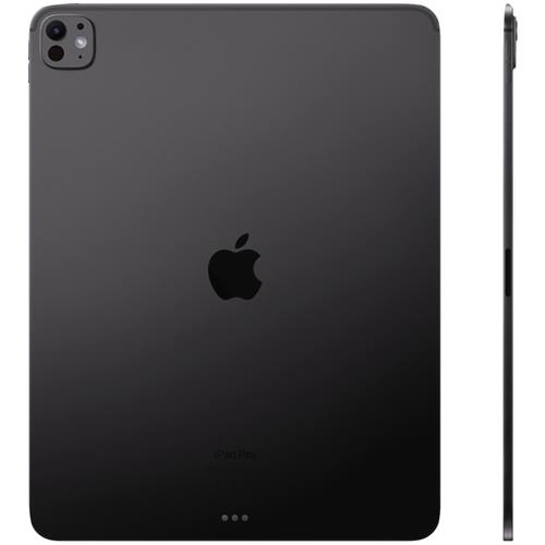 Apple Ipad Pro 11" M4 Wifi + Cellular 256GB Space Black (MVW13TY/A)