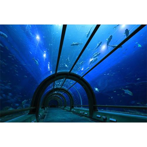 Canon Lens RF-S10-18MM F4.5-6.3 IS STM