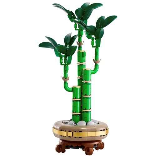 LEGO 10344 Bambú de la Suerte
