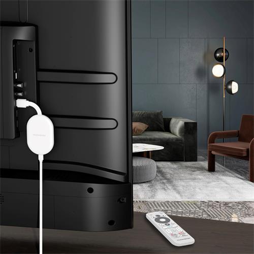 Thomson Google TV Go Cast 150 4K Google TV Chromecast