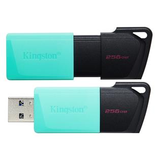 Memoria USB 256GB 3.2 Kingston Datatraveler Exodia M 2