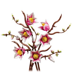 LEGO 11510 Magnolia Branches 2