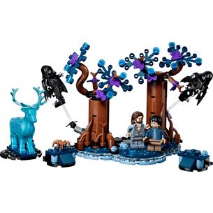 LEGO 76475 Forbidden Forest tm: Expecto Patronum 2