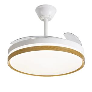 Daewoo DW5010 Ventilador de Techo 30W led Aspas Retráctiles Blanco 2