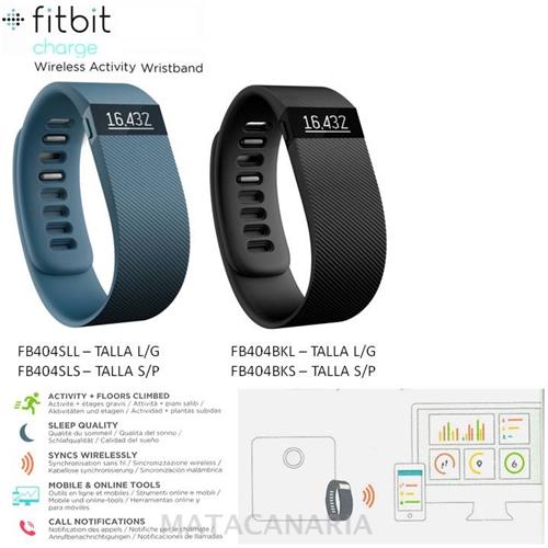 Fitbit Fb404 Charge