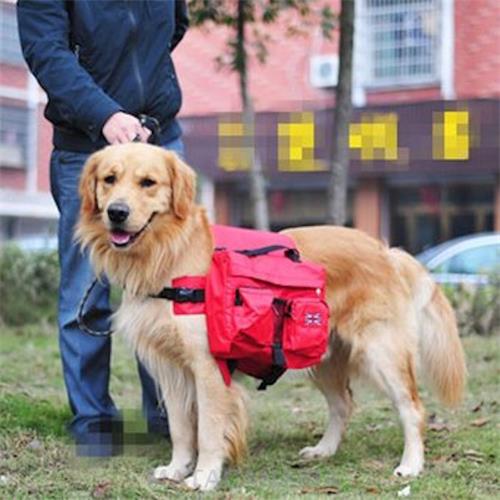 3Ds Oroen Retriever